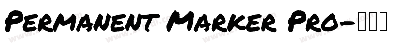 Permanent Marker Pro字体转换